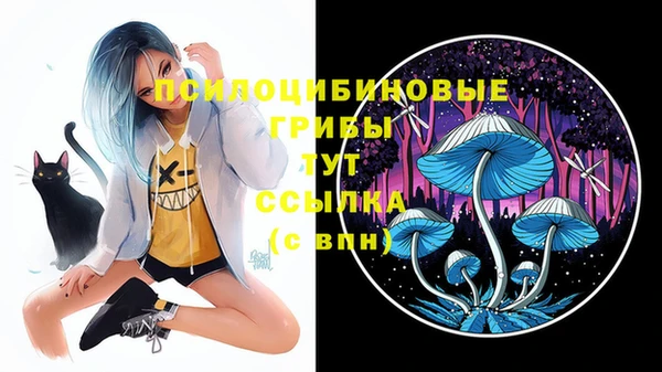 бутират Балахна