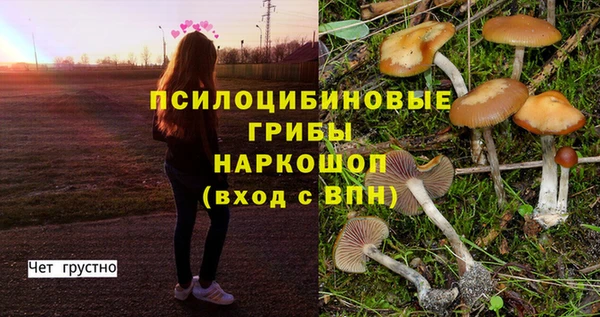 бутират Балахна