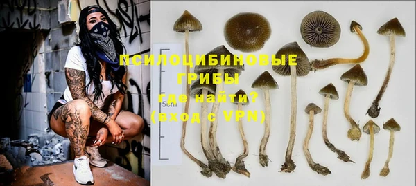 спайс Балабаново